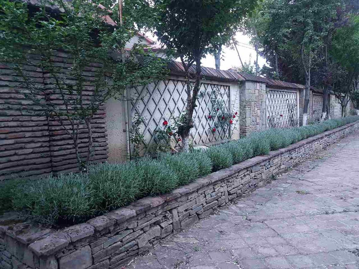 Villa Rare House With Garden Tbilisi Esterno foto