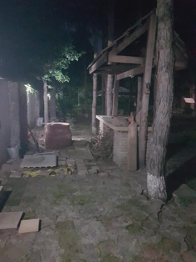 Villa Rare House With Garden Tbilisi Esterno foto