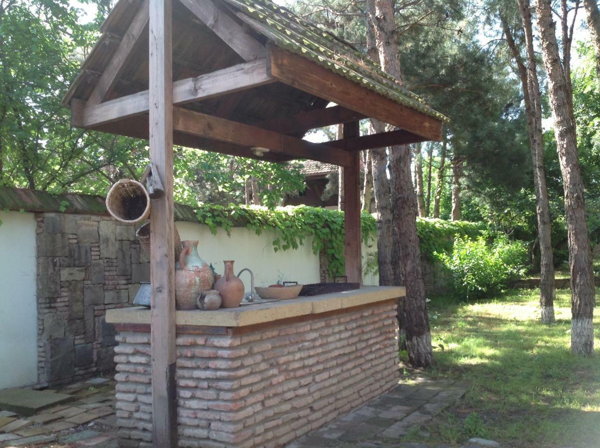 Villa Rare House With Garden Tbilisi Esterno foto